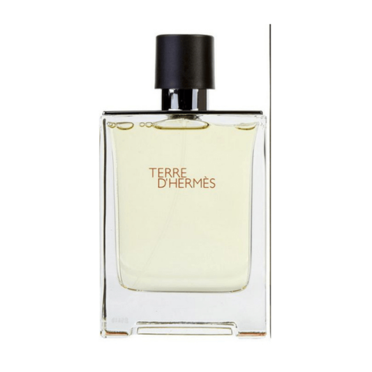 Hermes Terre Dâ€™hermes EDT 100ml